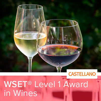 61º WSET Level 1 Award in Wine [CASTELLANO] - ABIERTO