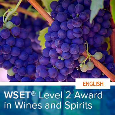 29º WSET Level 2 Award in Wine [ENGLISH] - ABIERTO