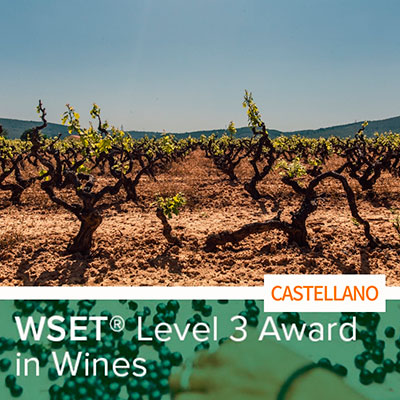 32º WSET Level 3 Award in Wine [CASTELLANO] - ABIERTO