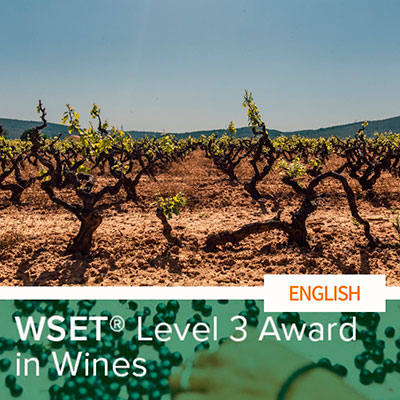 28º WSET Level 3 Award in Wine [ENGLISH] - ABIERTO